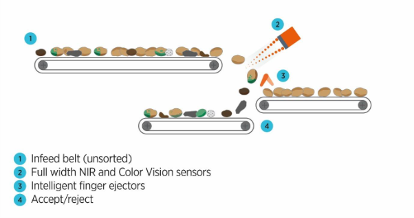 A visual explanation of how the TOMRA 3A sorts potatoes from infeed to sensing to ejection streams