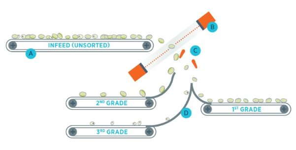An explanation of the TOMRA 5A working principle from infeed to grading